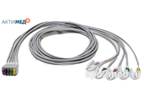 2106393-002 2106393-002