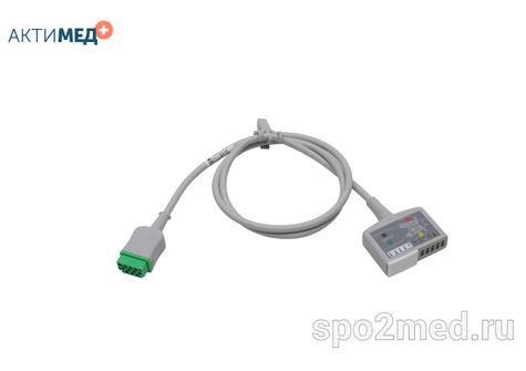 2106308-004 2106308-004