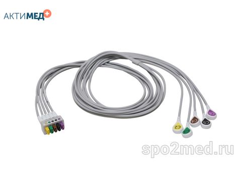 2106394-002 2106394-002