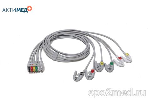 2106398-001 2106398-001