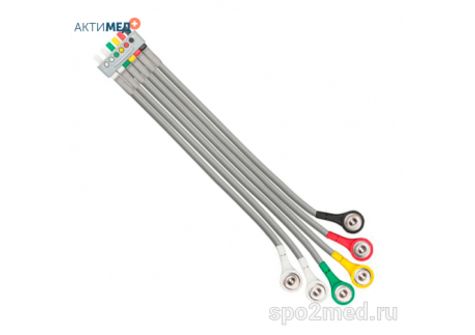 2106396-001 2106396-001