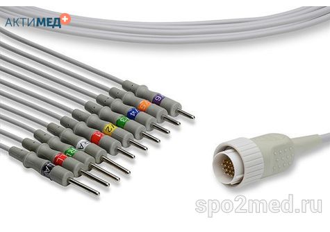 E10R-KZ1-N/I, Кабель пациента электрокардиографический для подключения пациента к монитору (единый), Kenz, двенадцатиэлектродный, 10 отведений, 3.4м, тип "игла"
