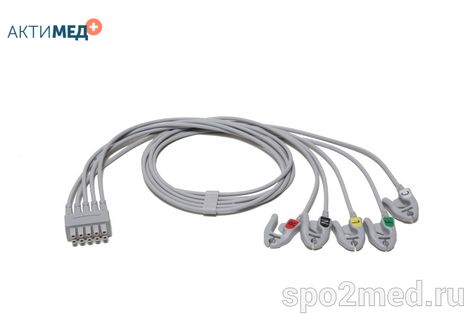 2106389-003 2106389-003